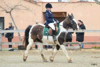 DOMA02032025O-21