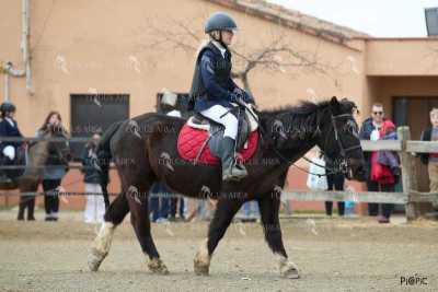 DOMA02032025O-53