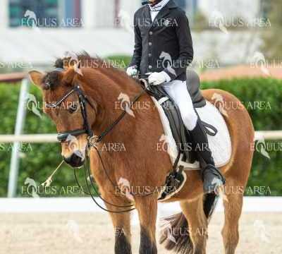 DOMA02032025S-012