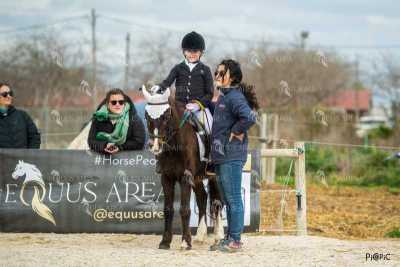 DOMA02032025S-021