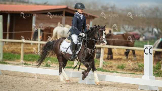 DOMA02032025S-025