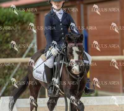 DOMA02032025S-028