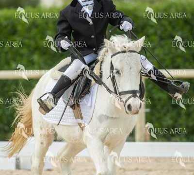 DOMA02032025S-033