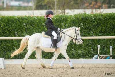 DOMA02032025S-035
