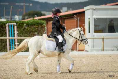 DOMA02032025S-042