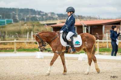 DOMA02032025S-051