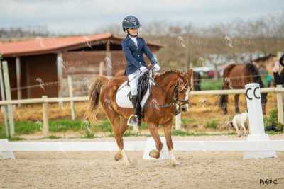 DOMA02032025S-055