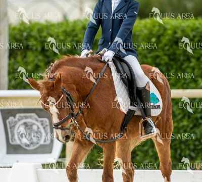 DOMA02032025S-056