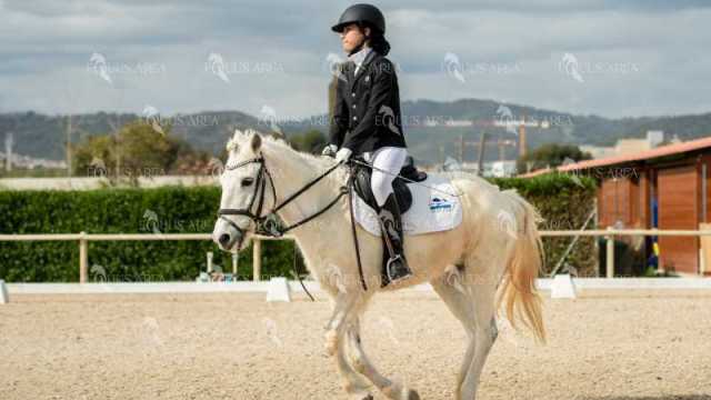 DOMA02032025S-078
