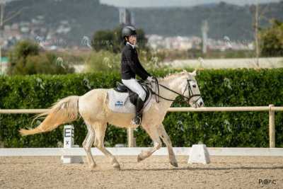 DOMA02032025S-079