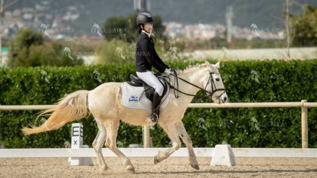 DOMA02032025S-079
