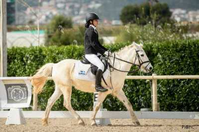 DOMA02032025S-080