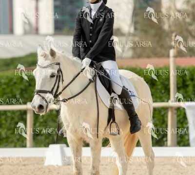 DOMA02032025S-082