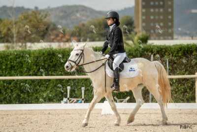 DOMA02032025S-085