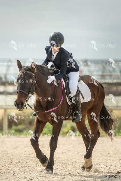 DOMA02032025S-091