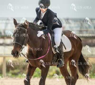 DOMA02032025S-091