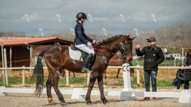 DOMA02032025S-092