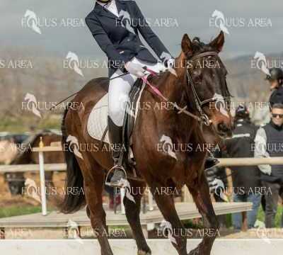 DOMA02032025S-098