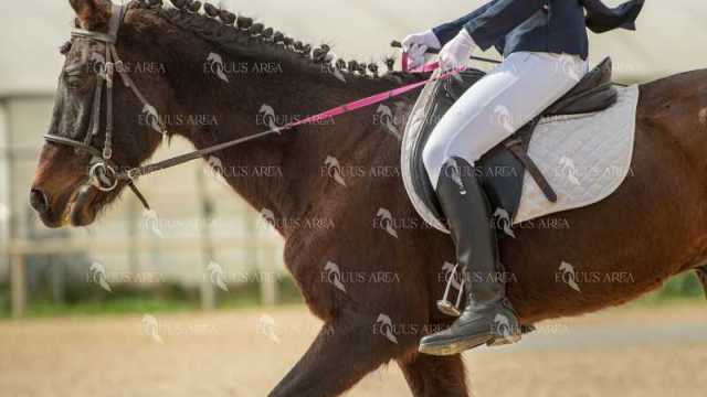 DOMA02032025S-100
