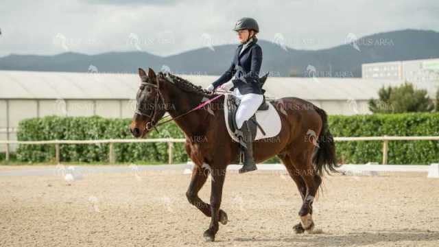 DOMA02032025S-101