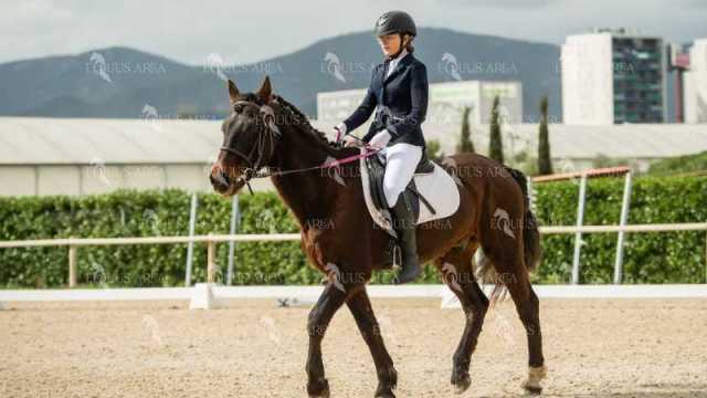 DOMA02032025S-102