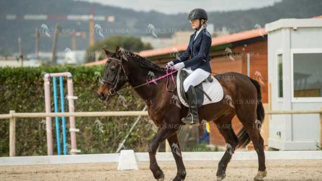 DOMA02032025S-103