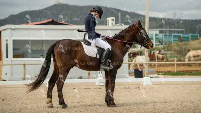 DOMA02032025S-104