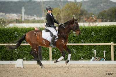 DOMA02032025S-107