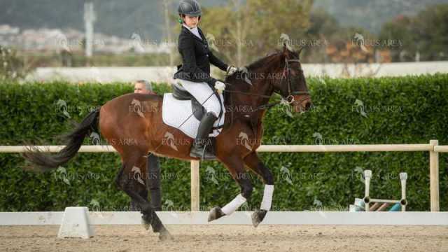 DOMA02032025S-107