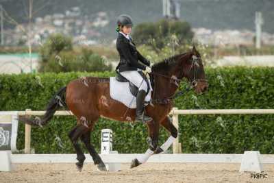 DOMA02032025S-108