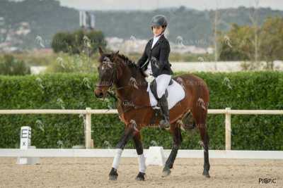 DOMA02032025S-113