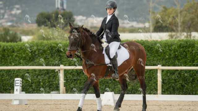 DOMA02032025S-113