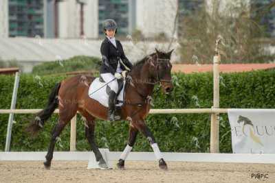 DOMA02032025S-114
