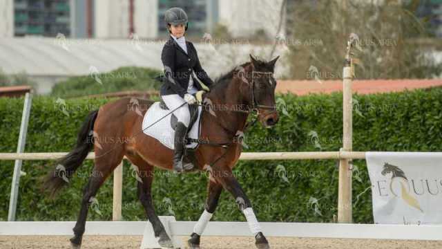 DOMA02032025S-114