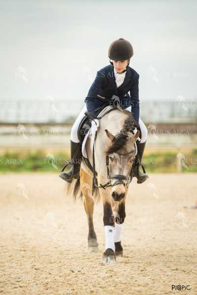 DOMA02032025S-117