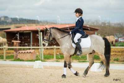 DOMA02032025S-119