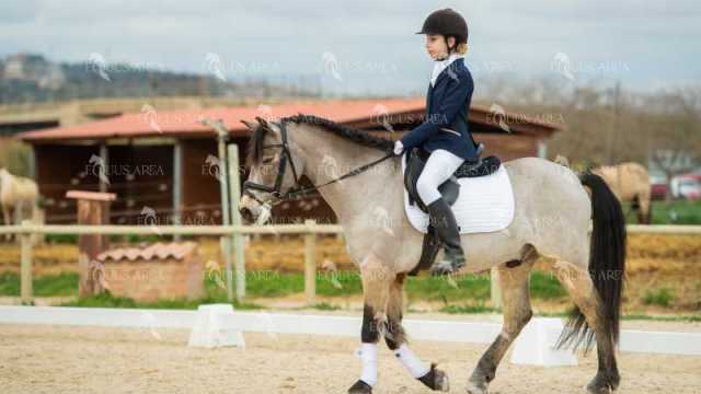 DOMA02032025S-119