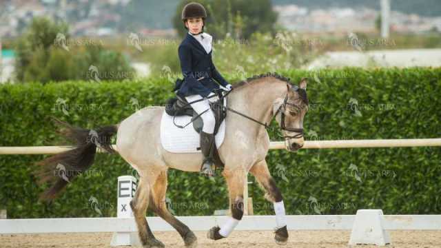 DOMA02032025S-124