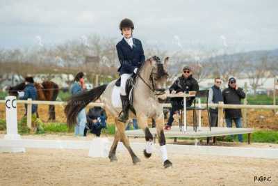 DOMA02032025S-125