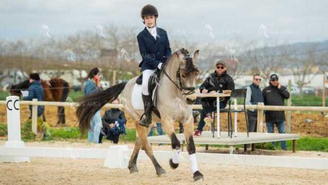 DOMA02032025S-125