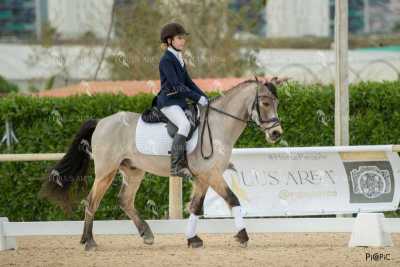 DOMA02032025S-126