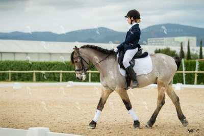 DOMA02032025S-127