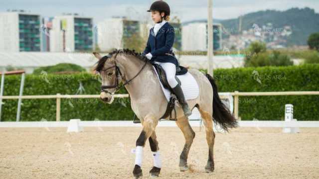 DOMA02032025S-128