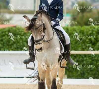 DOMA02032025S-129