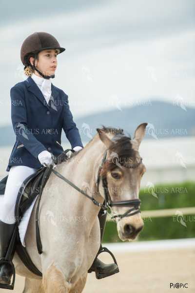 DOMA02032025S-130