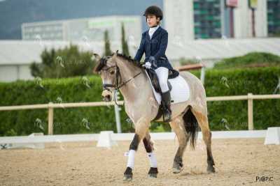DOMA02032025S-131