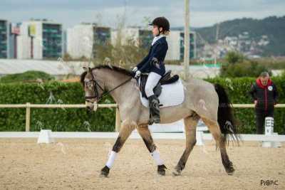 DOMA02032025S-133
