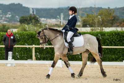DOMA02032025S-134