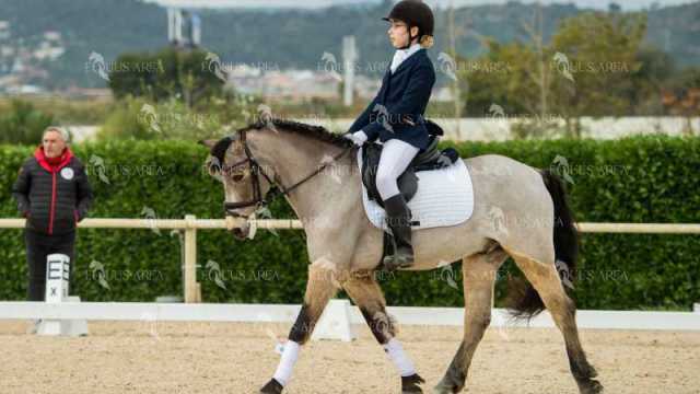 DOMA02032025S-134