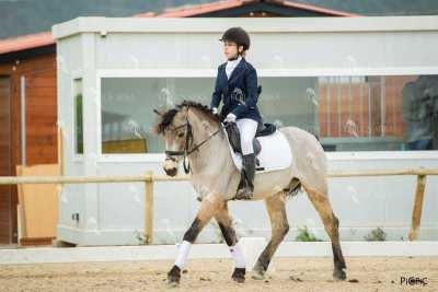 DOMA02032025S-135